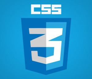 css3